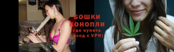спиды Ладушкин