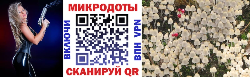 наркота  Воронеж  Псилоцибиновые грибы прущие грибы 